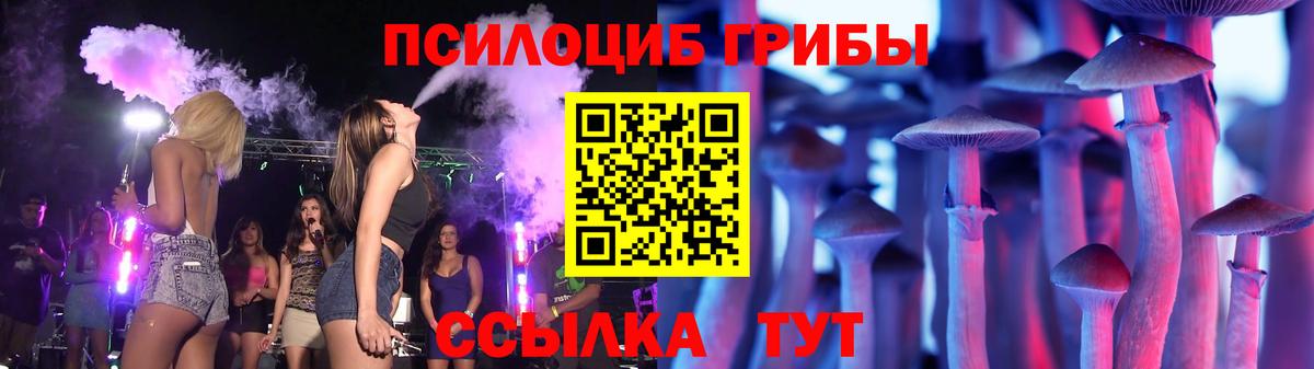 Псилоцибиновые грибы MAGIC MUSHROOMS  Вход с VPN  Дюртюли 