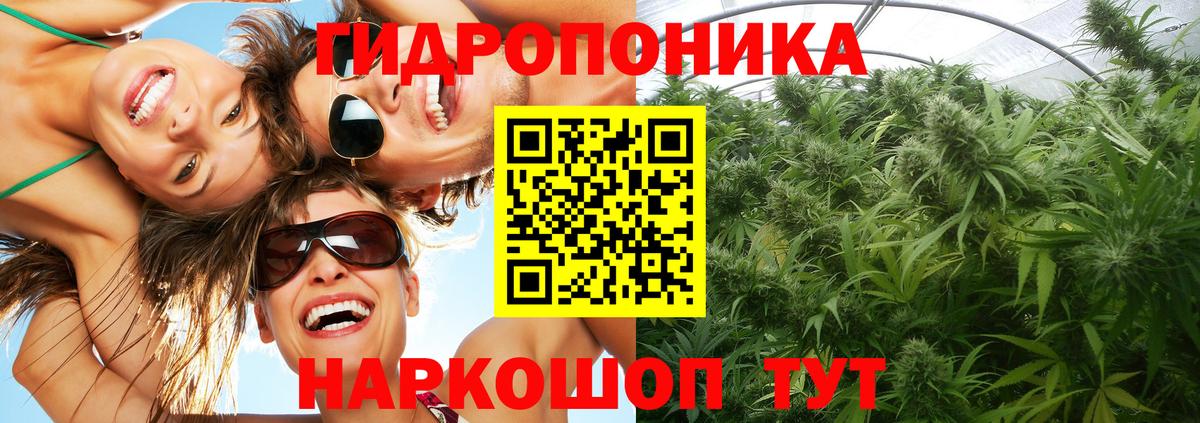 Канабис AK-47  Марихуана гибрид  Дюртюли  Вход с VPN  МАРИХУАНА ГИДРОПОН 